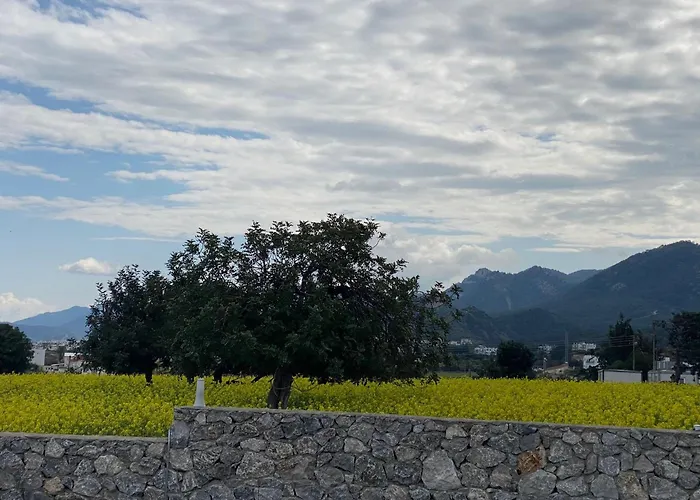 Blue Serenity - Deja Blue 2 - C13 Daire